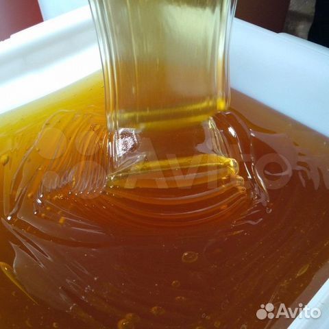 Лесной мед оптом