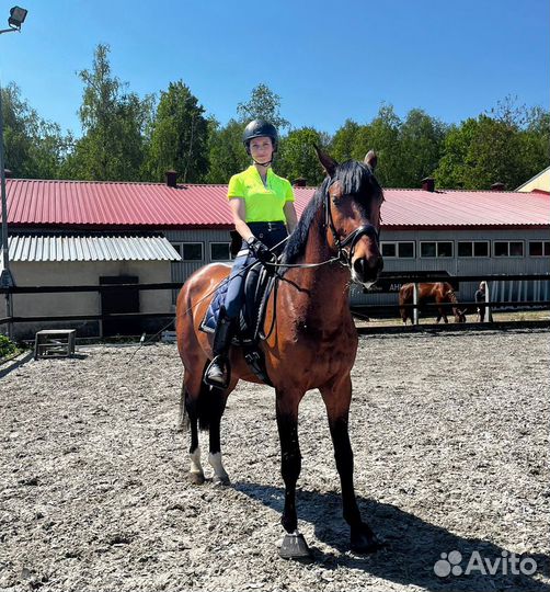 Обучение верховое езде. Конный спорт