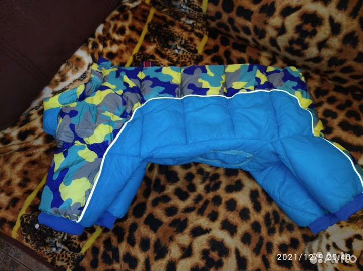 Одежда для собак