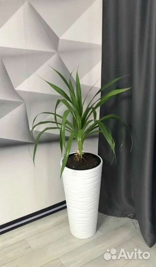 Кашпо для цветов напольное