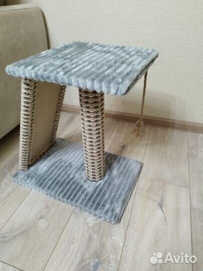 Когтеточка