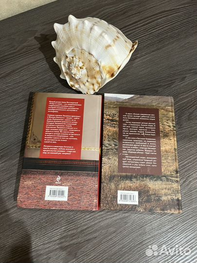 Книги Анны Бессмертной Ребро и Глина