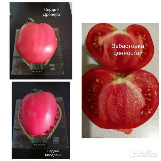 Семена томатов