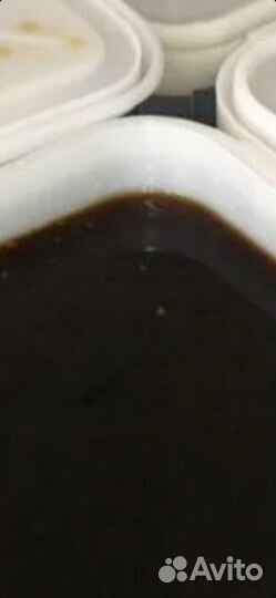 Мед гречишный 2023г отправка по РФ