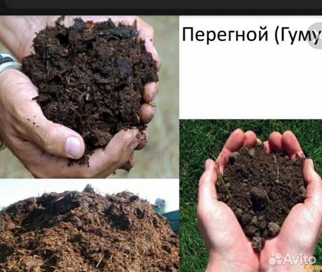 Удобрения перегной конский