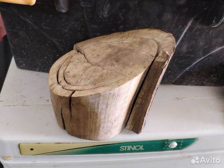 Кость бивня