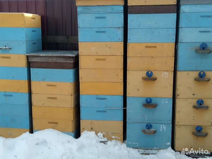 Ульи для пчел дадан
