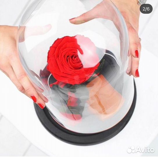 Роза в колбе