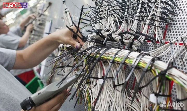 Сборщик электрожгутов