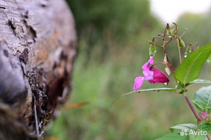 Tamron SP AF 45mm f/1.8 Di VC USD F013 Nikon F