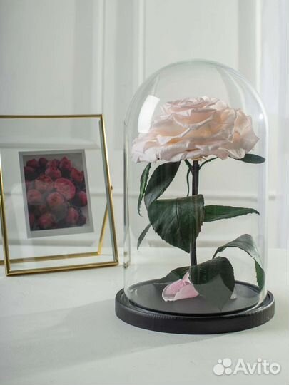 Роза в колбе/ Подарок на новый год