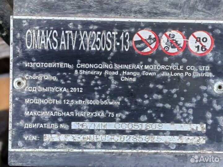 Двигатель для квадроцикла omaks ATV XY 250 ST-13