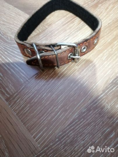 Ошейник для маленькой собаки