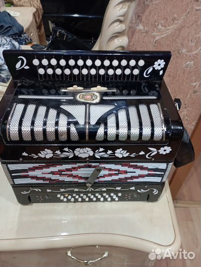 Гармонь рябинушка