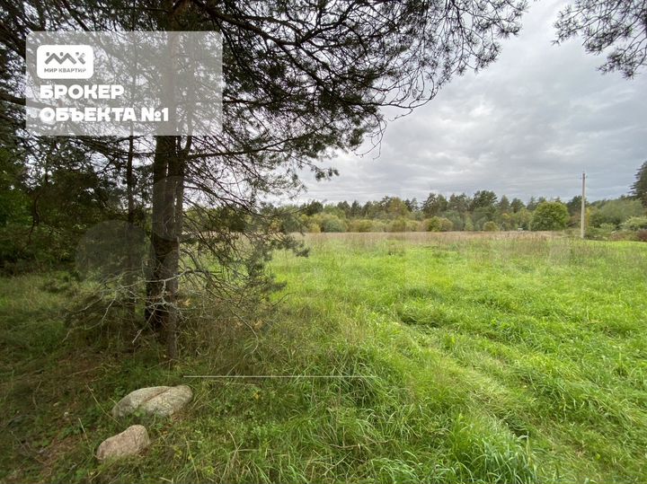 Участок 2,5 га (ИЖС)