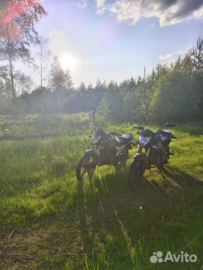 Wels cbr 300/3000