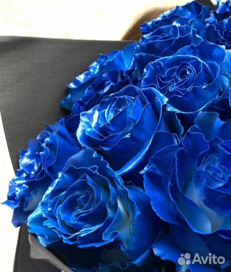 Синие Розы