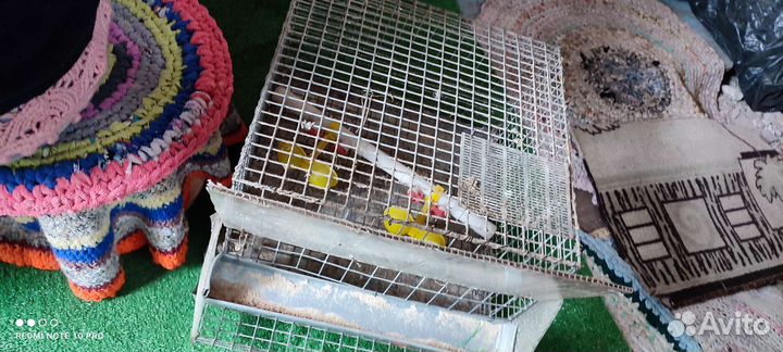 Клетка для перепелок
