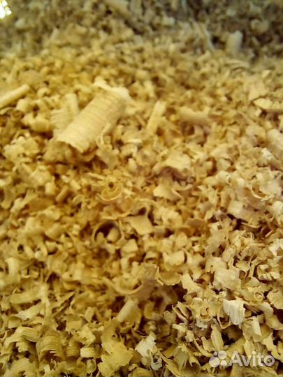Стружка сосна