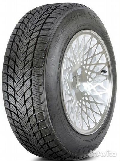 Landsail Winter Lander 205/55 R17 95H