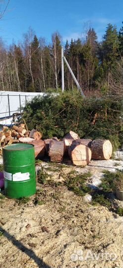 Валка деревьев