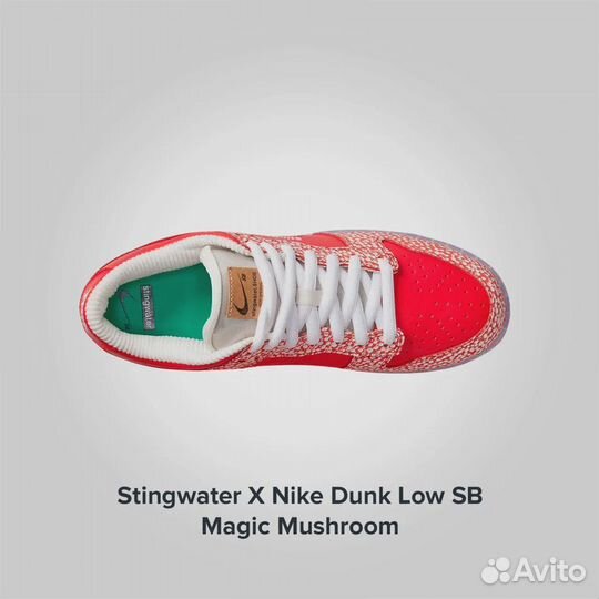 Nike Stingwater X Dunk Low SB Magic Mushroom