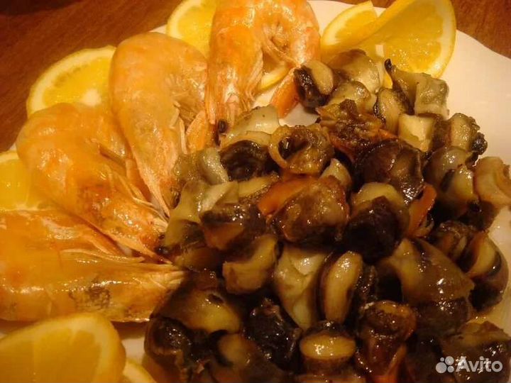 Мясо Рапана