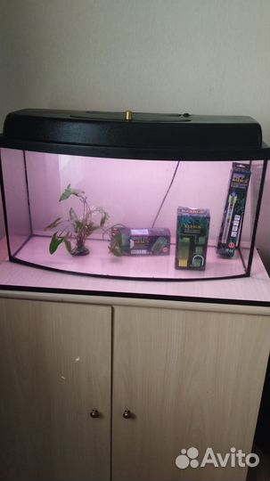 Аквариум телевизор