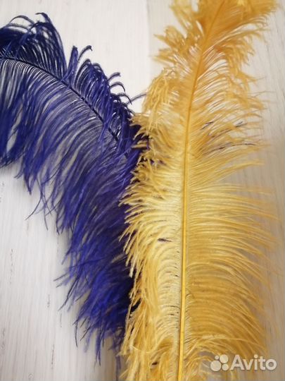 Страусиные перья