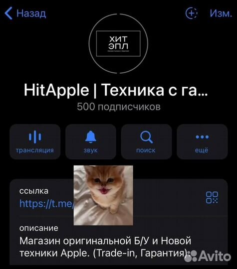 iPhone 12 Pro, 256 ГБ