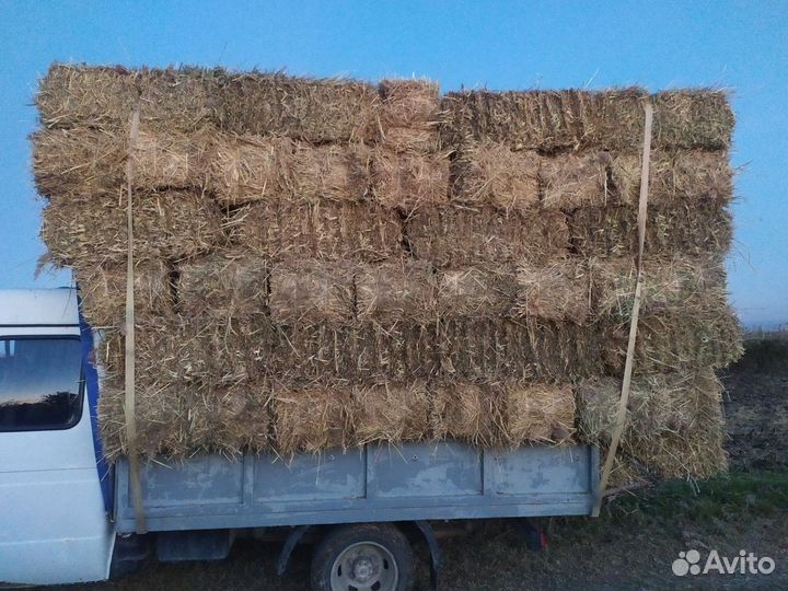 Продам сено