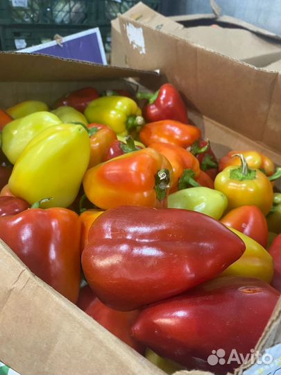 Доставка продуктов питания