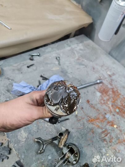 Honda cbr 600 rr поршня