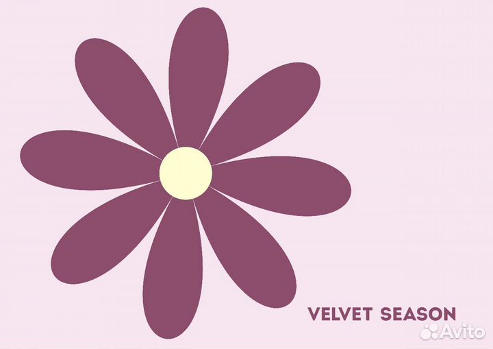 Заместитель управляющего ТК Балканская Нова