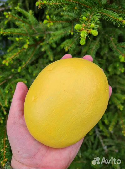 Васту-ваза с речными валунами для оттока