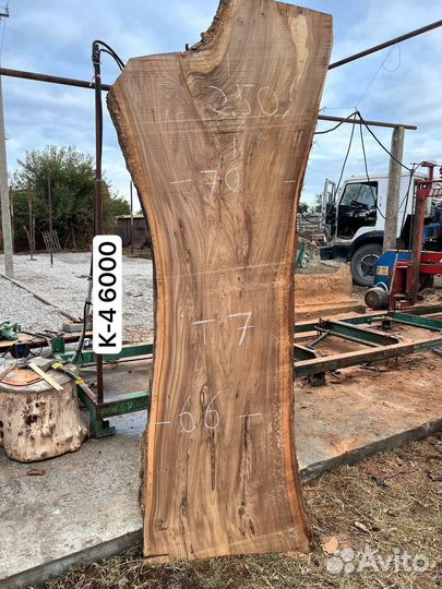 Слэб карагач