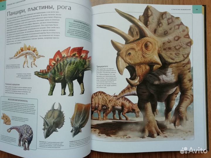 Детская книга в подарок