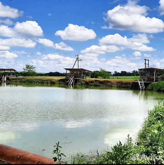 Платная рыбалка