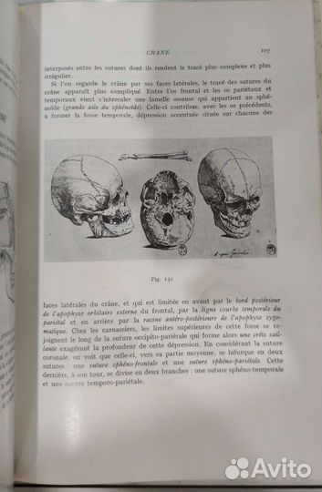 Анатомия Anatomie artistique de l'homme Moreaux