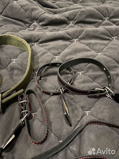 Ошейник и поводок, рулетка