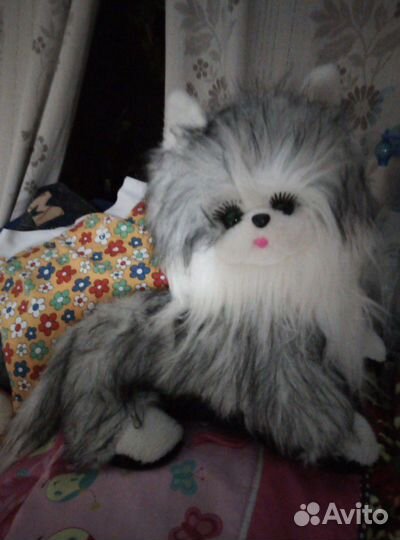 Кошка