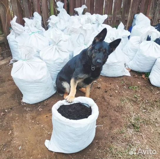Грунт для теплиц/Доставка/Самовывоз