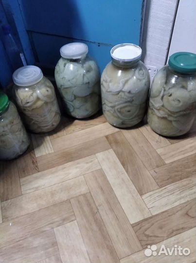 Грибы грузди соленые