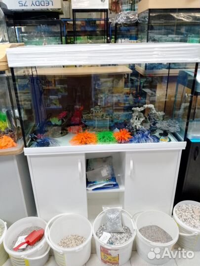Аквариум