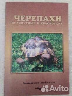 Книга Черепахи сухопутные и красноухие