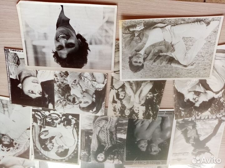 Фотографии