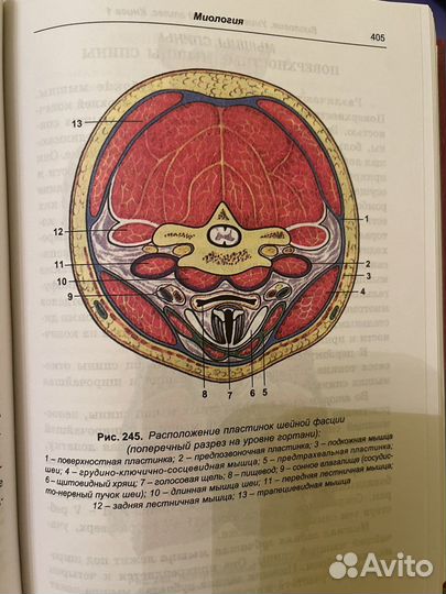 Универсальный атлас. Биология. Г.Л. Билич