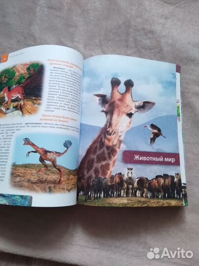 Детская энциклопедия