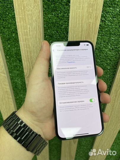 iPhone 13