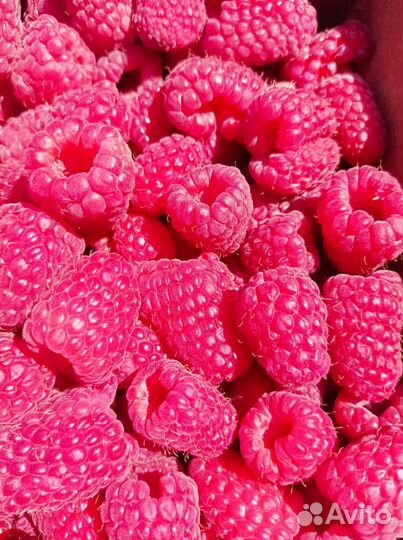 Фермерские продукты